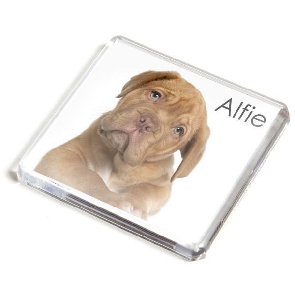 Personalised Photo Fridge Magnets