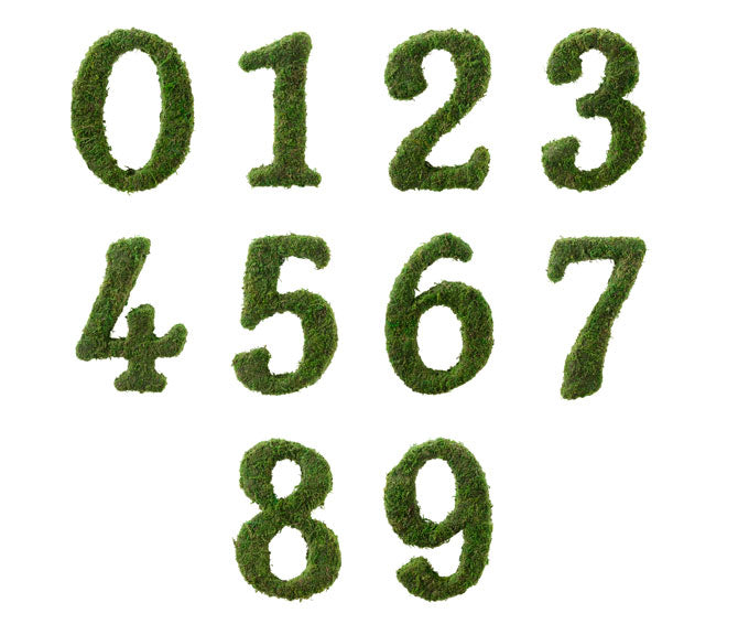 Lillian Rose Moss Decor Numbers