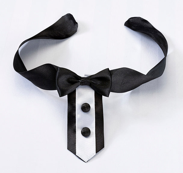 Tuxedo Dog Collar