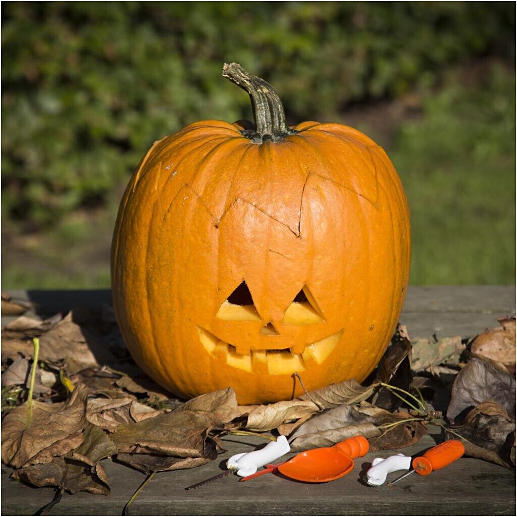 Halloween Pumpkin Carving Kit