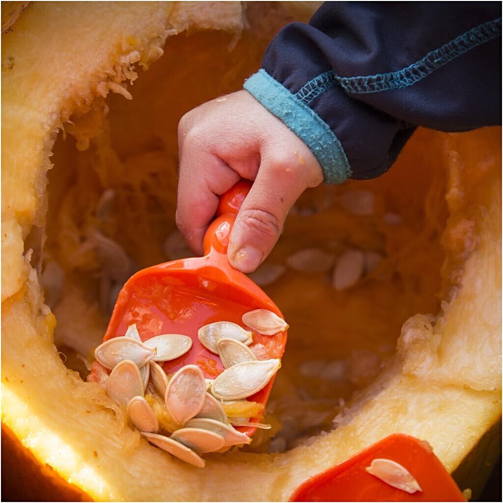 Halloween Pumpkin Carving Kit