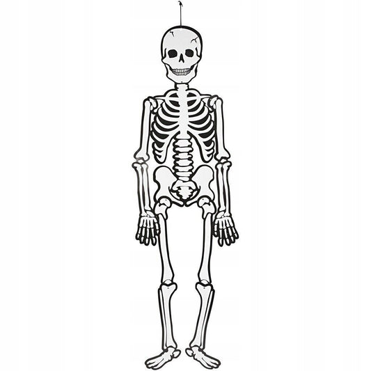 Large Halloween Hanging Skeleton