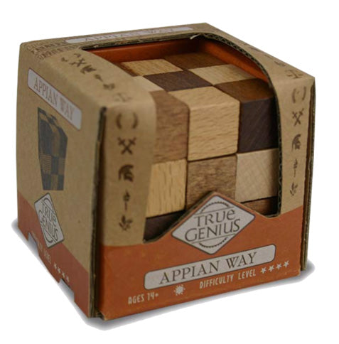 Project Genius Mini Puzzles - Assorted Puzzles