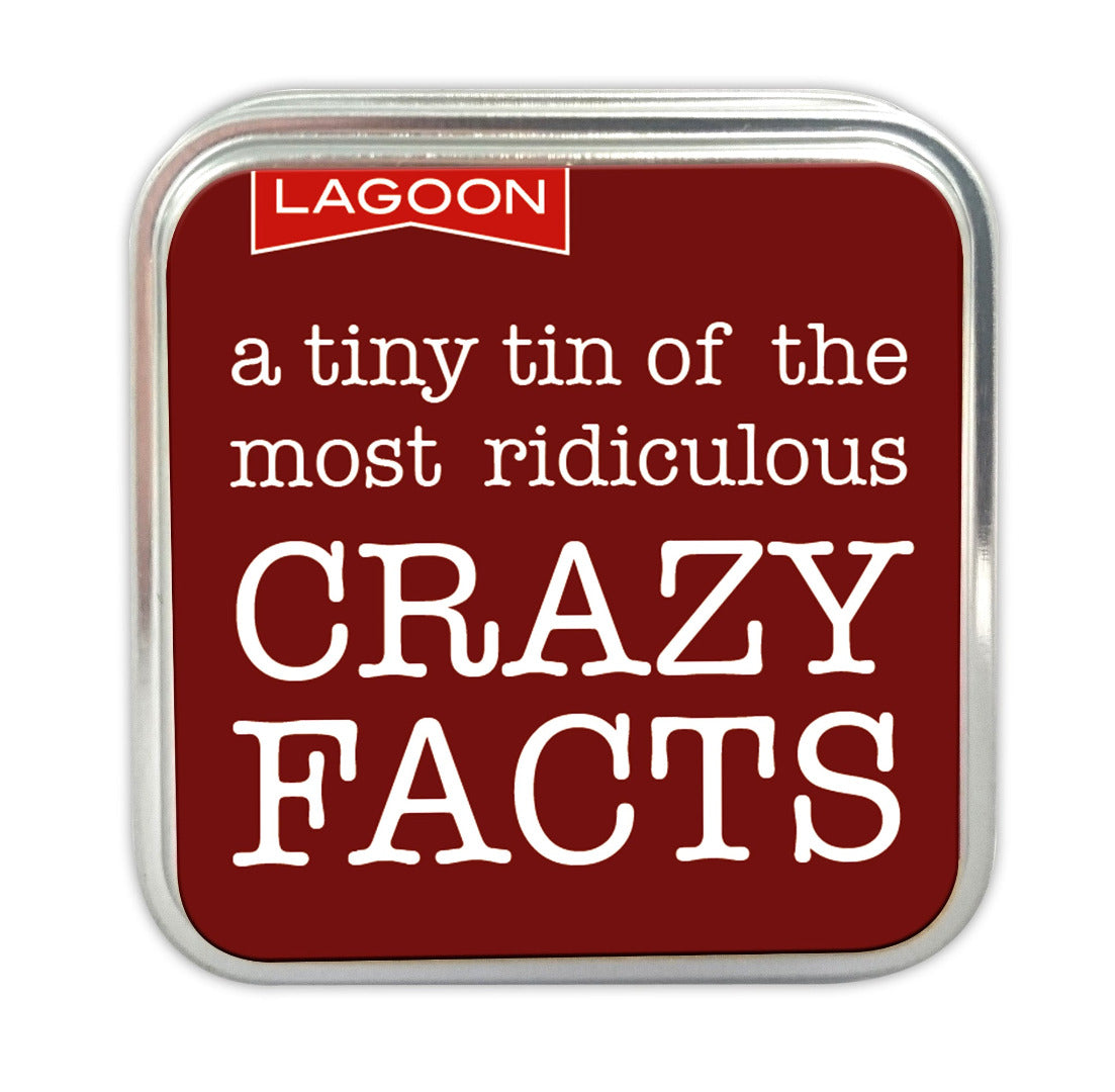 A Tiny Tin of Games - Pocket / Travel / Party Games - Crazy Facts