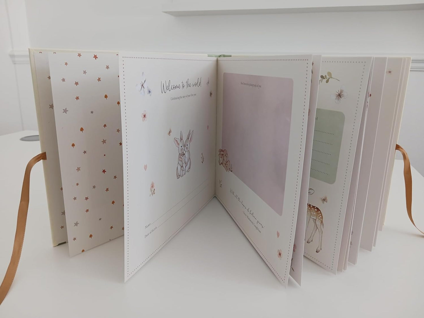 Baby's First Year ~ Baby Record Book