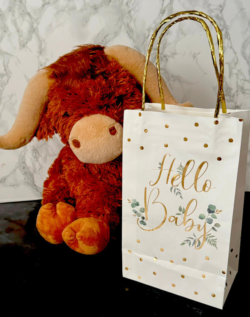 Hello Baby Gift Bag