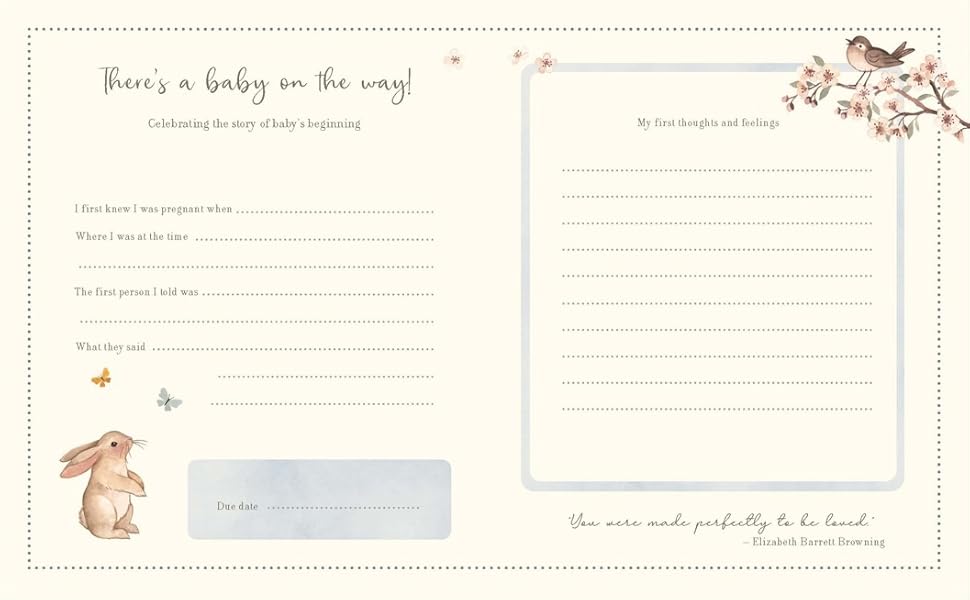 My Pregnancy Journal