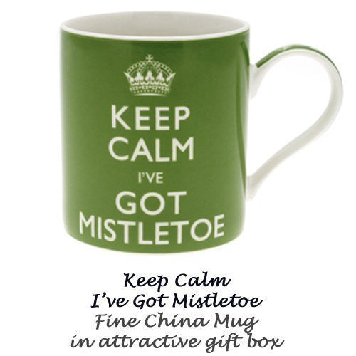 "Keep Calm I've got Mistletoe" Fine China Novelty Christmas Mug