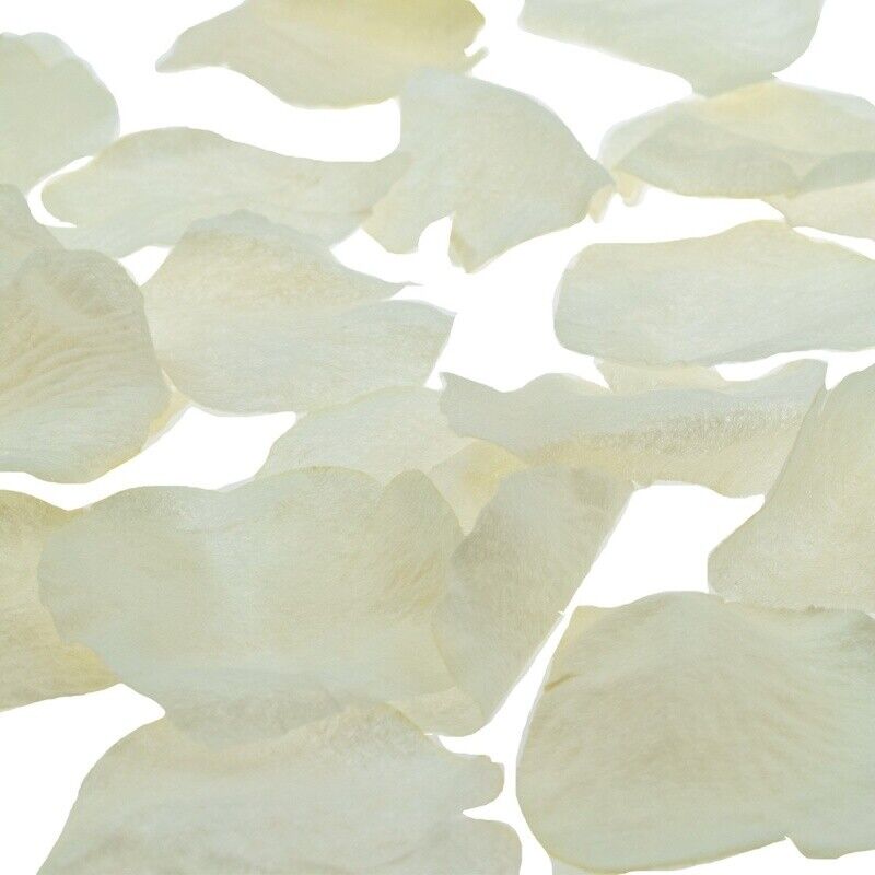 Ivory Coloured Silk Wedding Petals ~ Pk 200