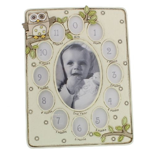 Juliana Baby Noahs Ark Resin 13 Aperture Frame Owl
