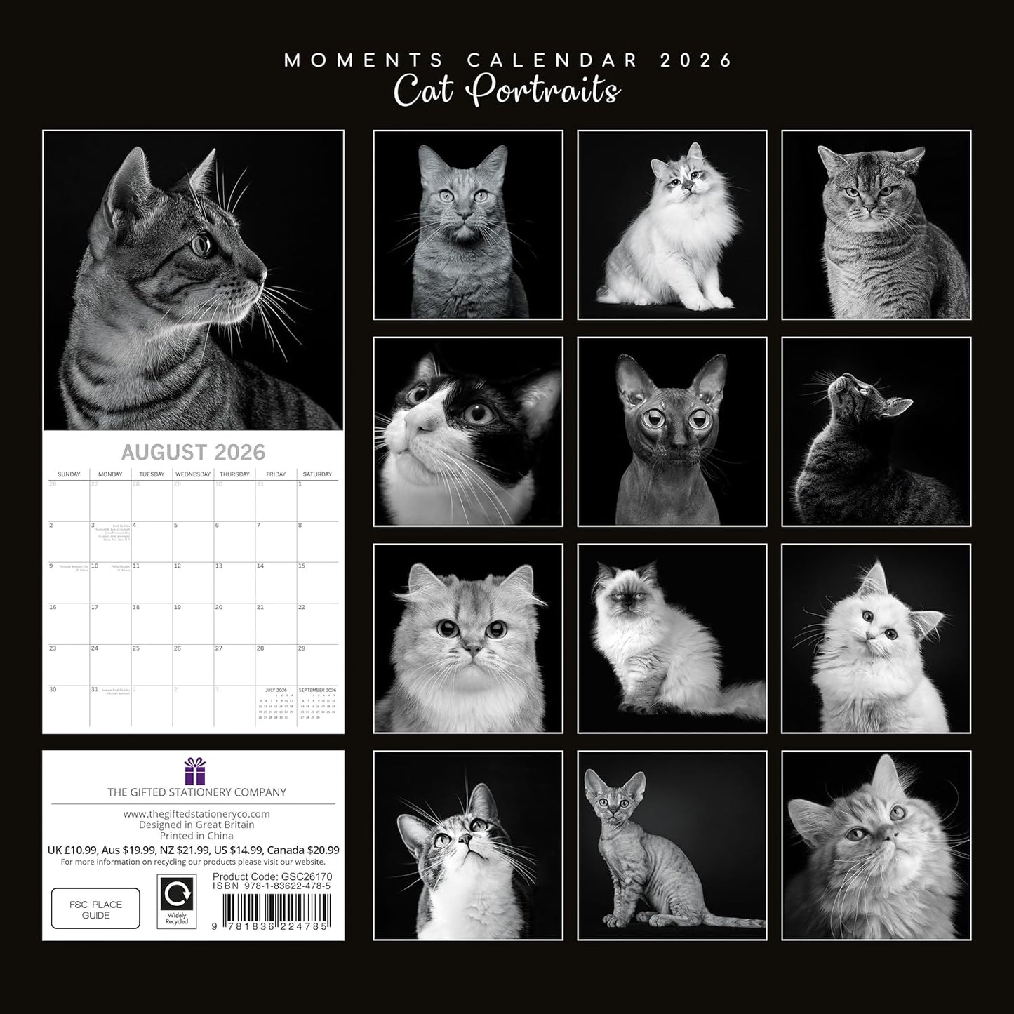 Black & White Cat Portraits 2026 Family Square Wall Calendar - 16 Month 2026