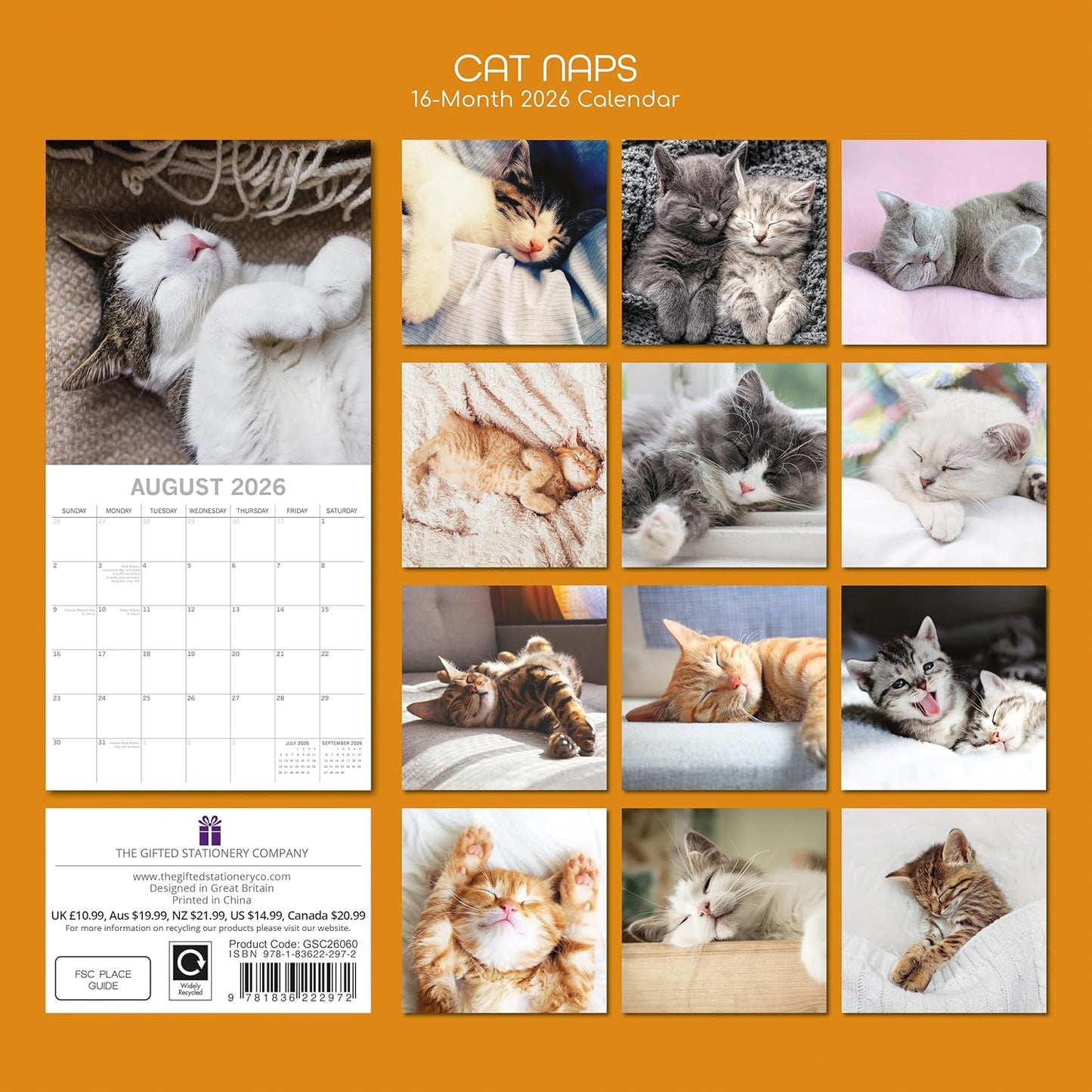 TGSC Cat Naps 2026 Family Square Wall Calendar - 16 Month (Sept 2025-Dec 2026)