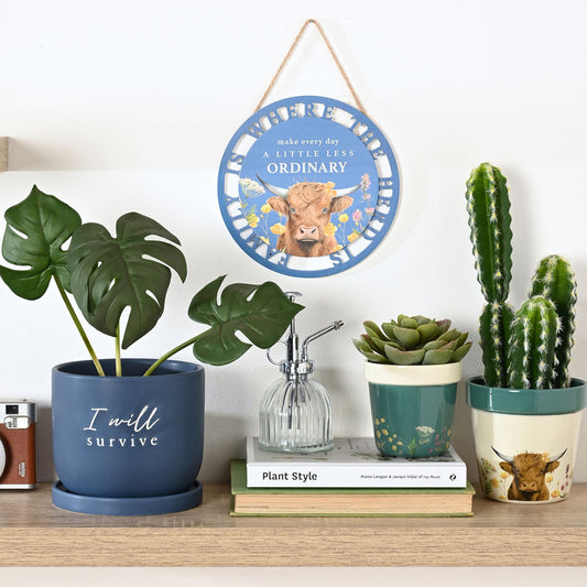 Country Living Set of 2 Planters - Highland Cow