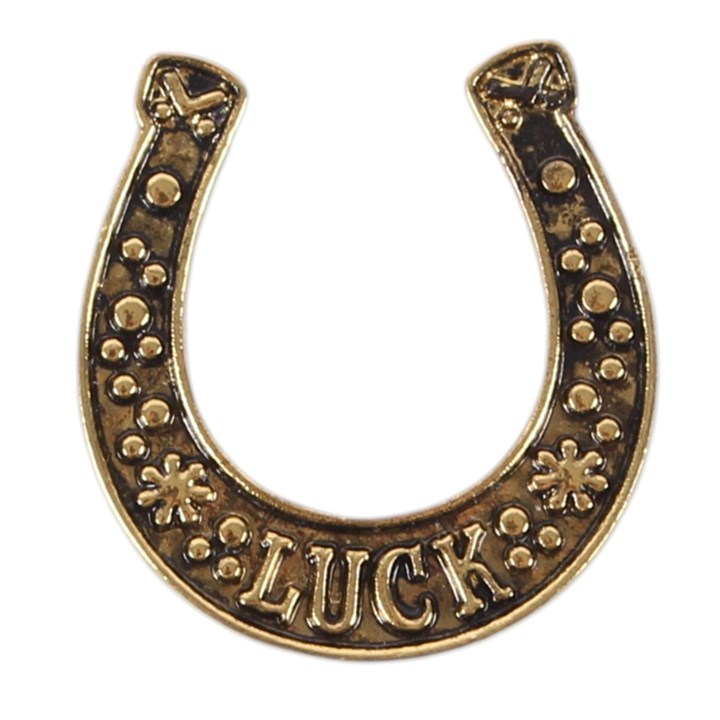Set of 24 Lucky Horseshoe Token Gifts in Display