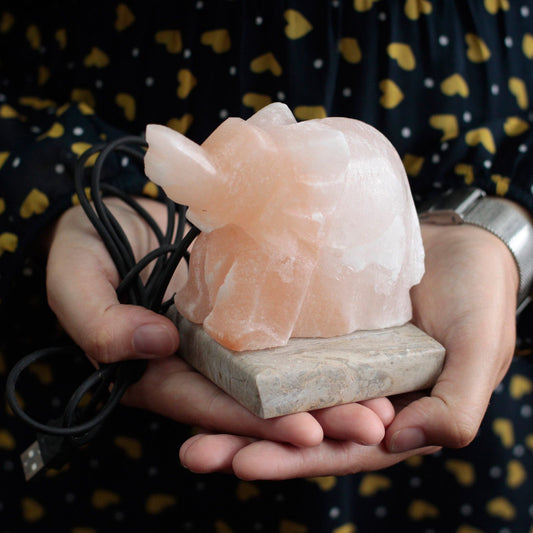 Multicolour Elephant Shaped USB Himalayan Salt Lamp