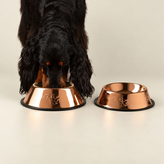PAW Food Bowls - Single Copper Style - 22cm - Stainless Steel (304)