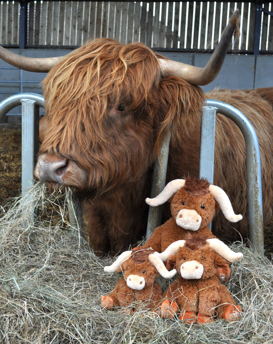Horny Highland Cow Plush Brown Small Soft Toy - 18cm