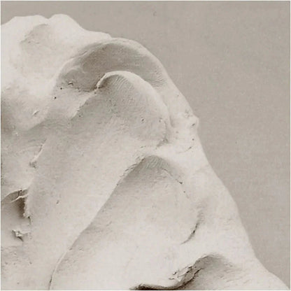 1KG Self-Hardening Pottery Craft Clay | Air-Drying Non-firing Sculpting Light-Weight Modelling