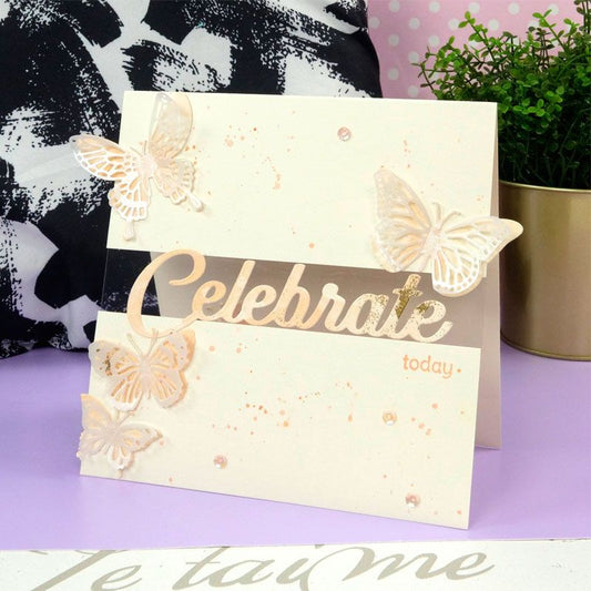 Moonstone Stamp & Die Combos - Essential Words - Celebrate
