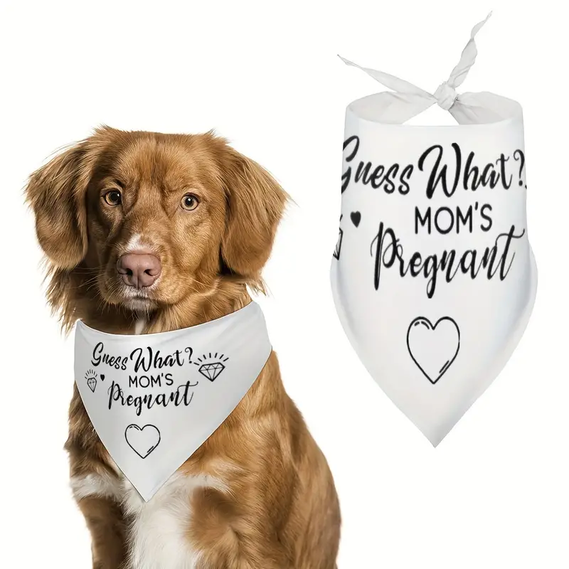 Guess What - Mom's Pregnant ~ White Polyester Pet Bandana