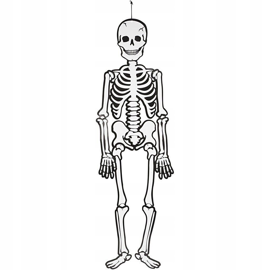 Large Halloween Hanging Skeleton