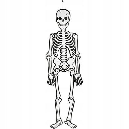 Large Halloween Hanging Skeleton