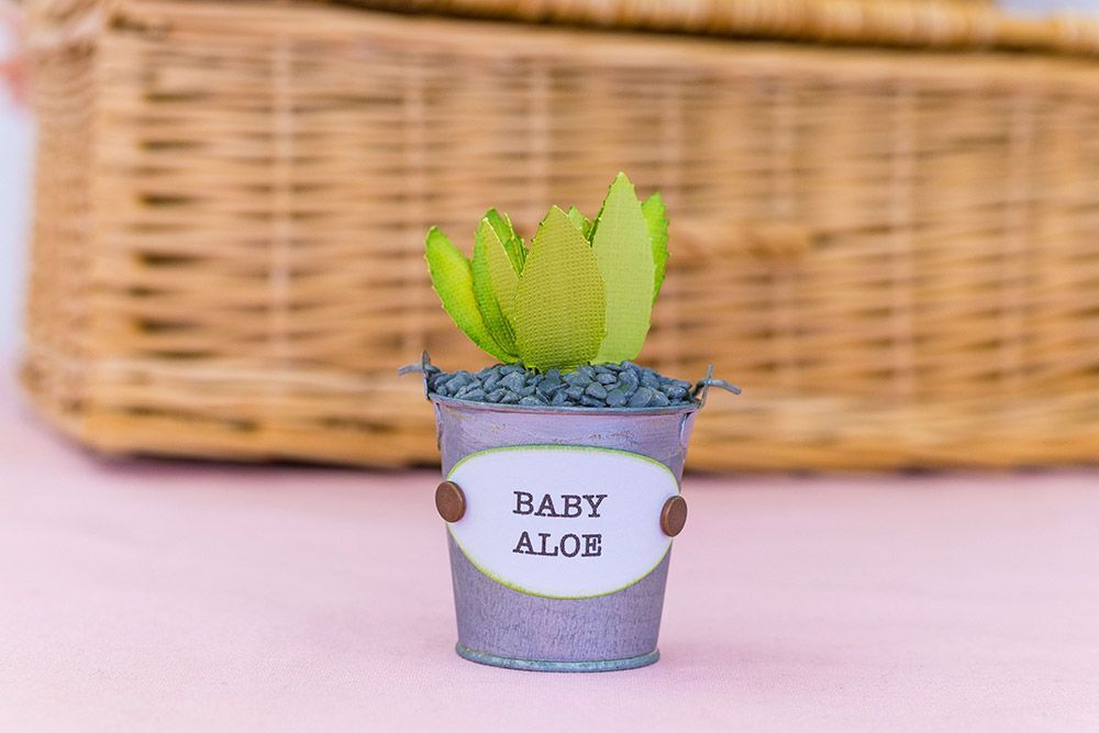 Sharon Callis - Sensational Succulents Metal Die - Baby Aloe