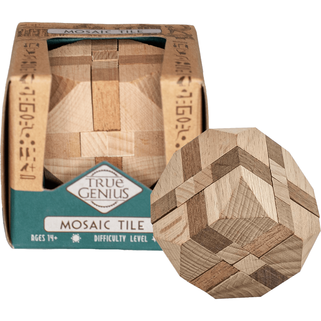 Project Genius Mini Puzzles - Assorted Puzzles