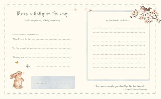 My Pregnancy Journal