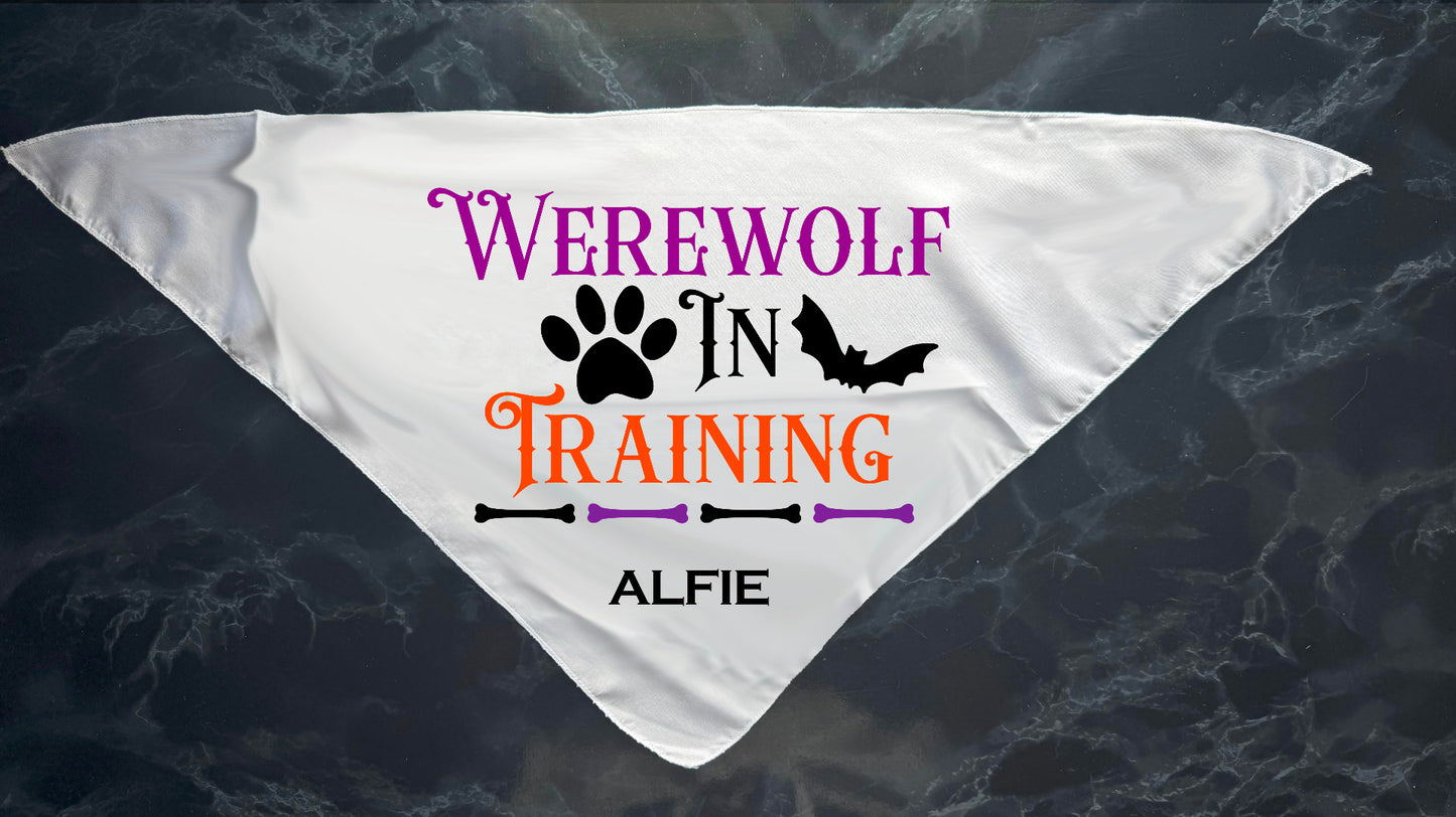 Personalised Halloween Pet Bandana - Medium to Extra Large Dogs