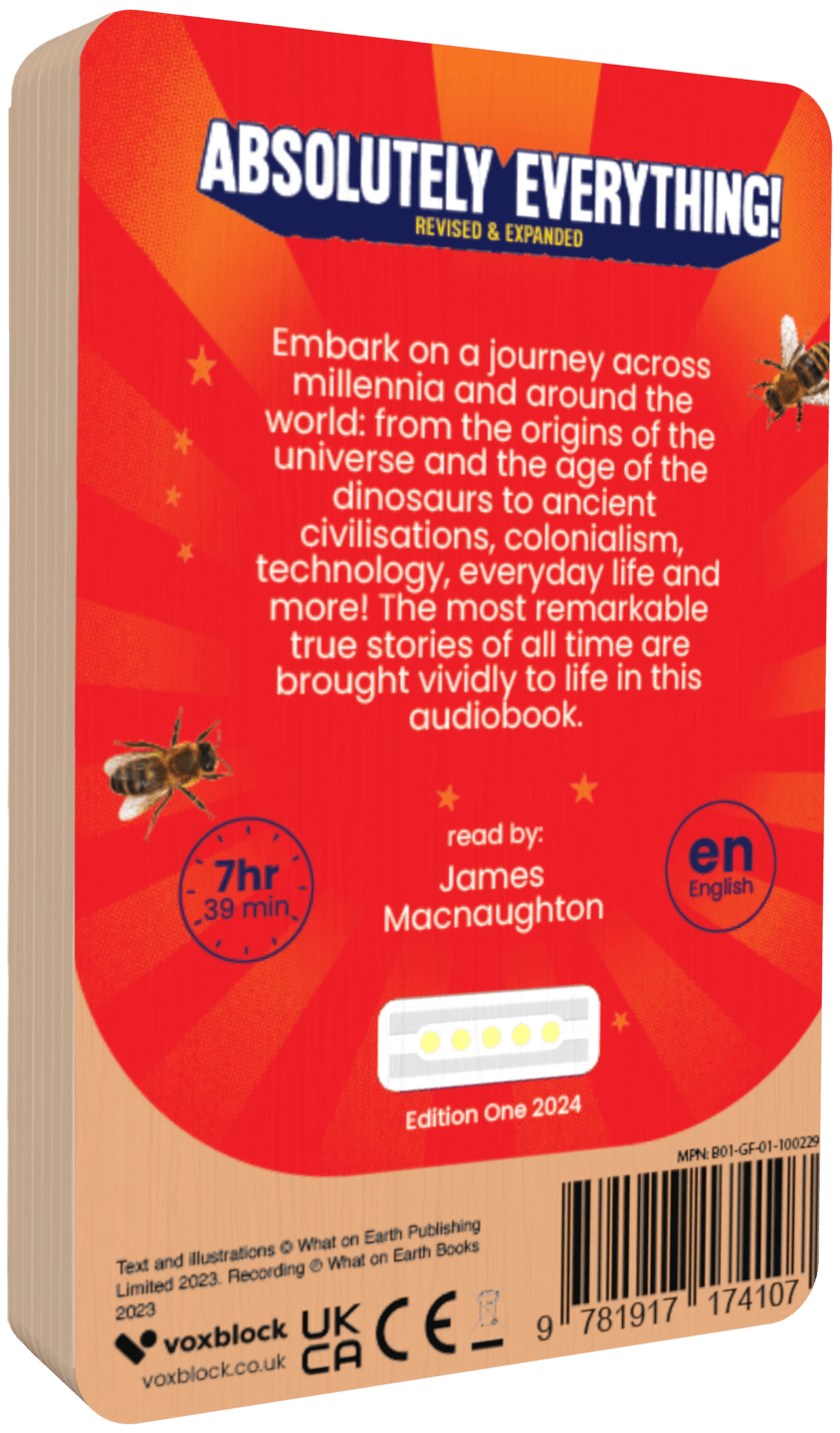 Absolutely Everything! (Audiobook)