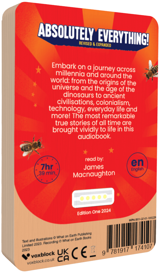 Absolutely Everything! (Audiobook)