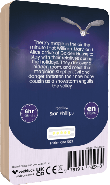 The Magician's House: The Steps up the Chimney (Audiobook)