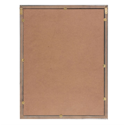 Old Raven Apothecary Mirrored Wall Art