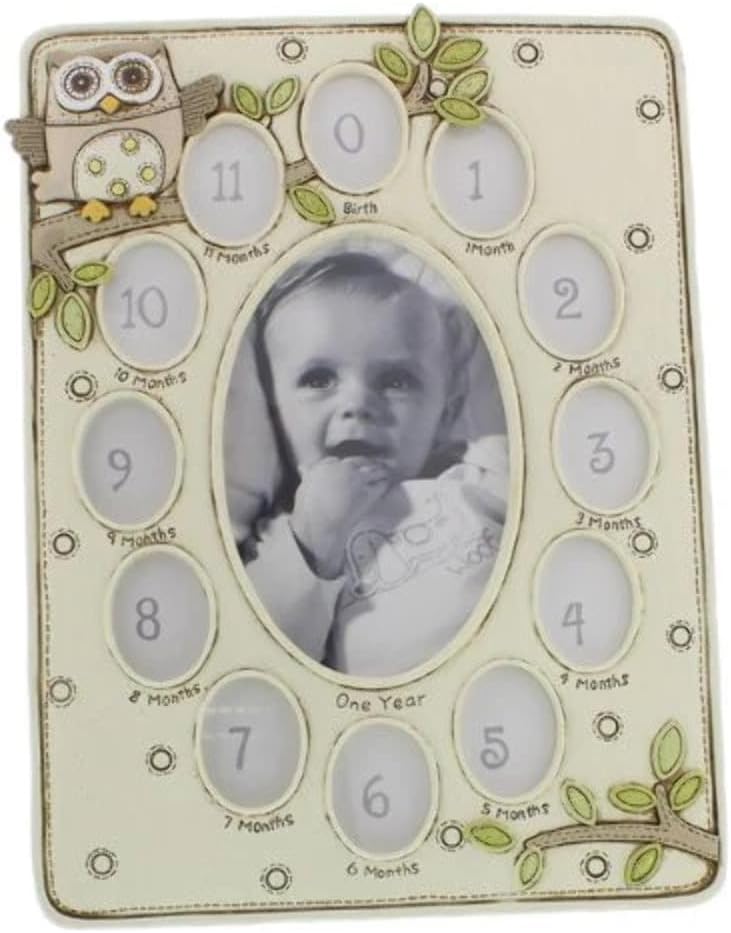 Juliana Baby Noahs Ark Resin 13 Aperture Frame Owl