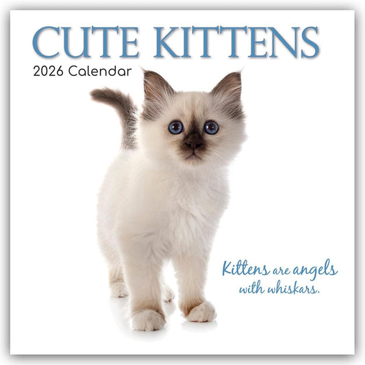 Cute Kittens 2026 - 16-Month Calendar: Original Gifted Stationery Calendar