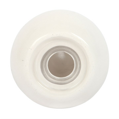 Clam Shell Salt and Pepper Shakers