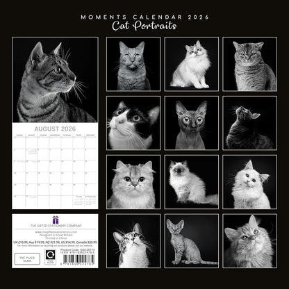 Black & White Cat Portraits 2026 Family Square Wall Calendar - 16 Month 2026