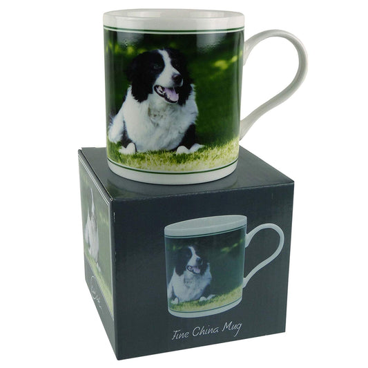 Fine China Collie MUG/CUP by Cachet Farmyard Collection Sheep Dog Gift Boxed