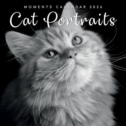 Black & White Cat Portraits 2026 Family Square Wall Calendar - 16 Month 2026