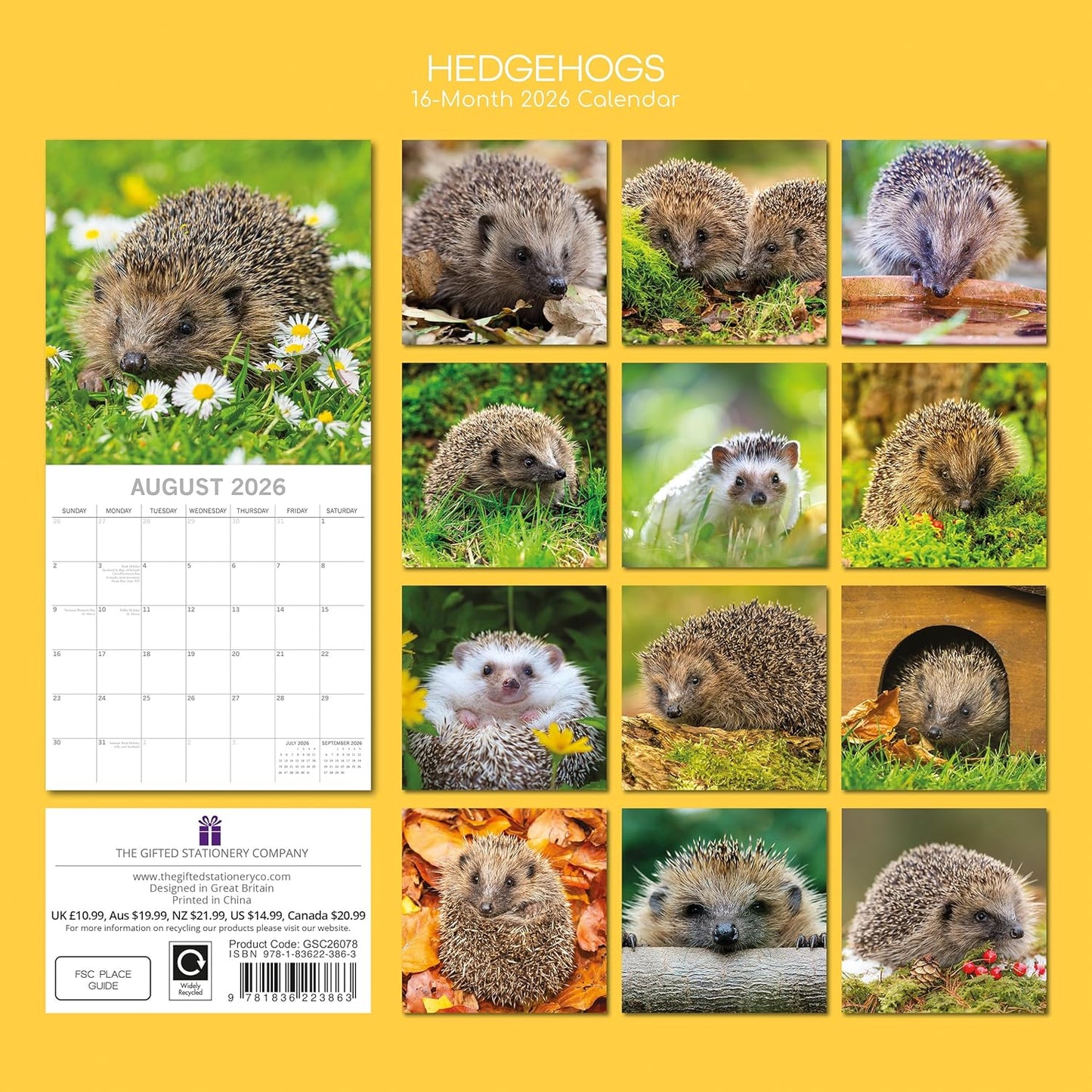 Hedgehogs 2026 Family Square Wall Calendar 16 Month (Sept 2025-Dec 2026)