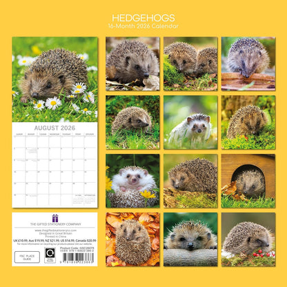 Hedgehogs 2026 Family Square Wall Calendar 16 Month (Sept 2025-Dec 2026)