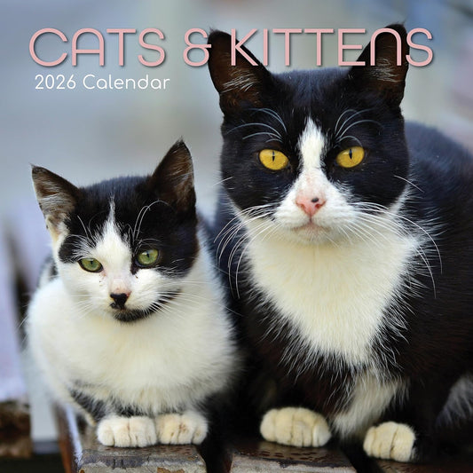 Cats & Kittens 2026 Family Square Wall Calendar - 16 Month (Sept 2025-Dec 2026)