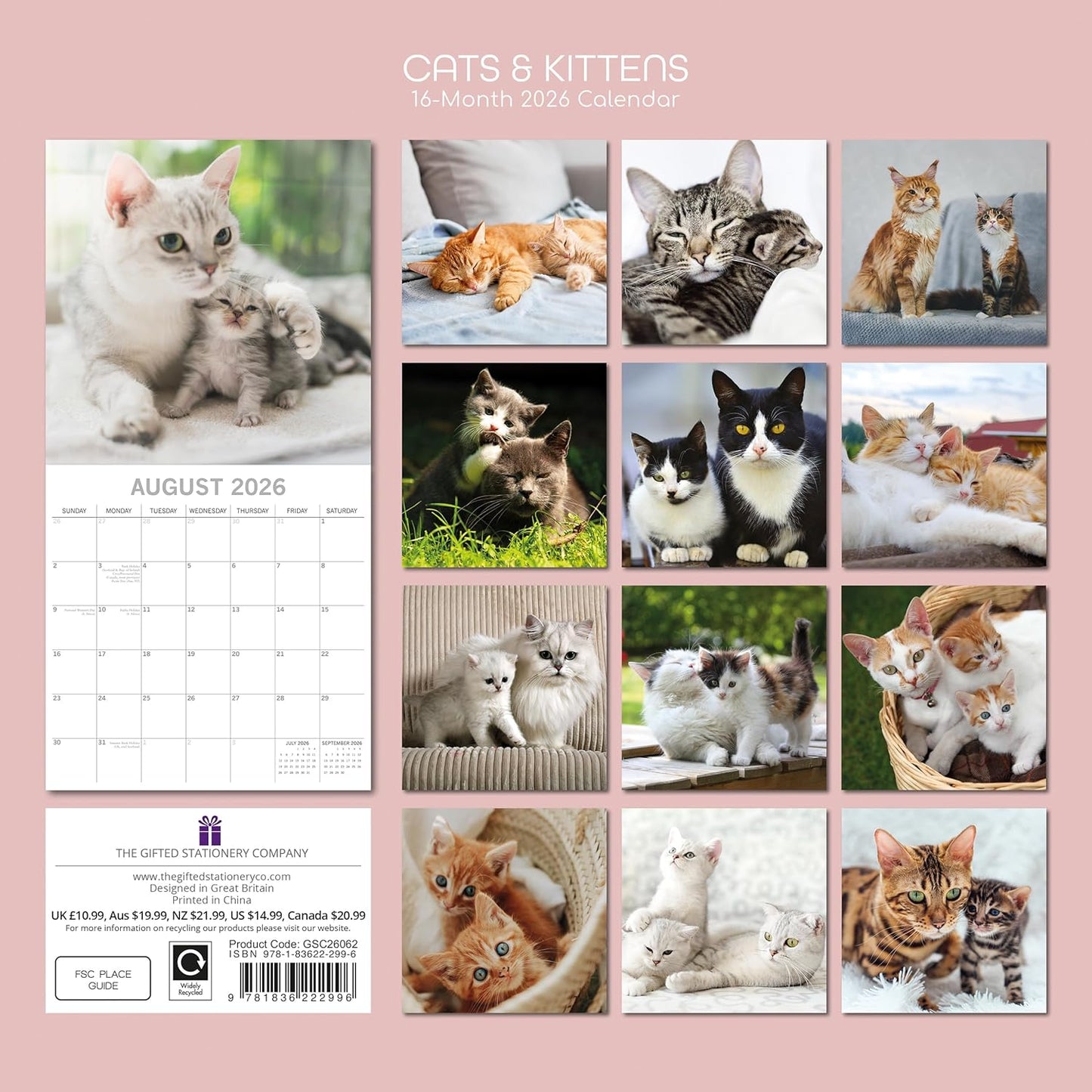 Cats & Kittens 2026 Family Square Wall Calendar - 16 Month (Sept 2025-Dec 2026)