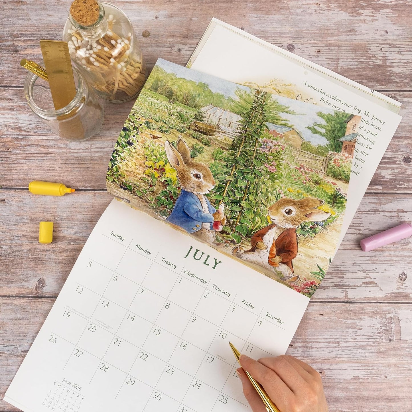 Peter Rabbit 2026 Square Wall Calendar - Monthly Planner with Beatrix Potter Illustrations