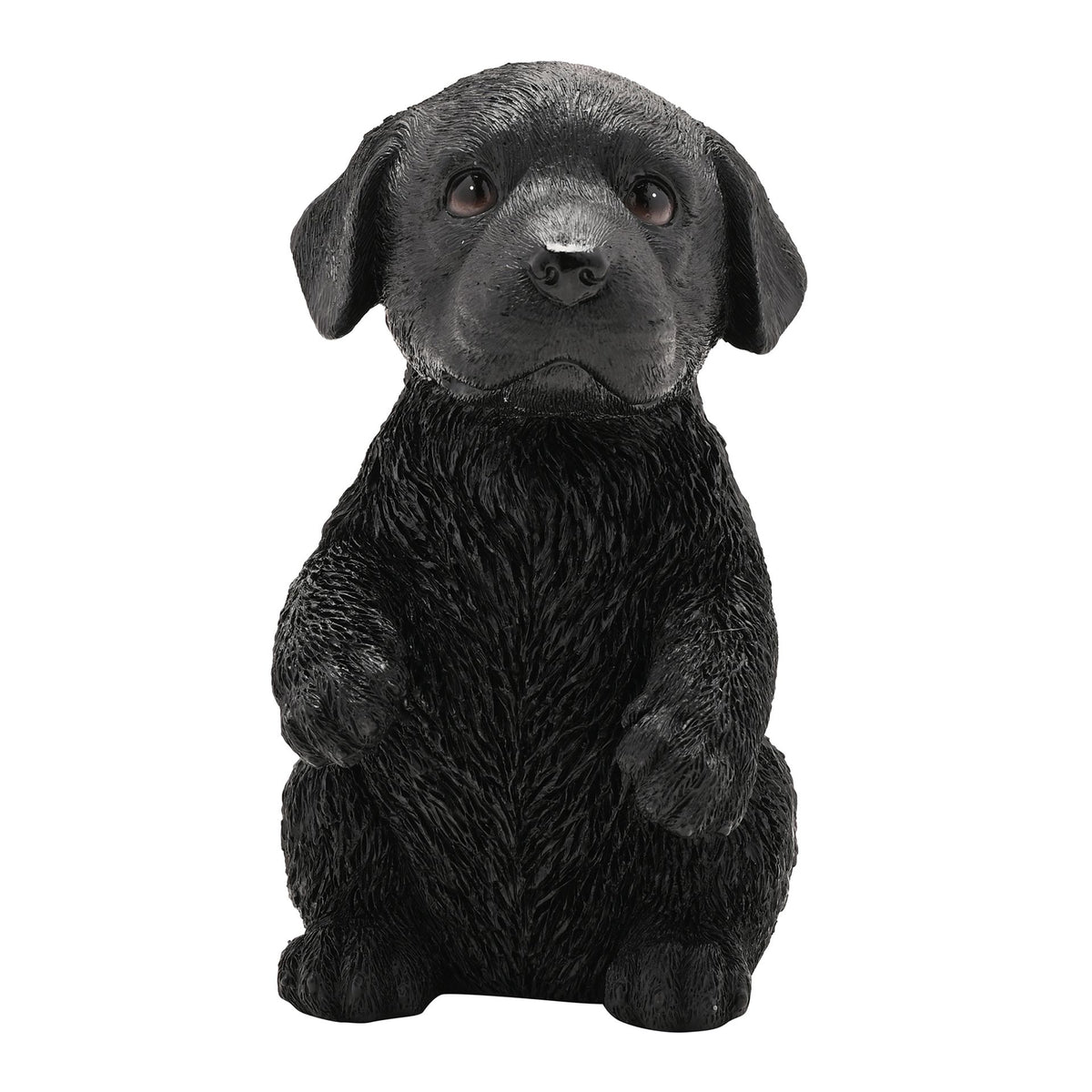 Best Of Breed Resin Black Labrador Puppy - 17cm