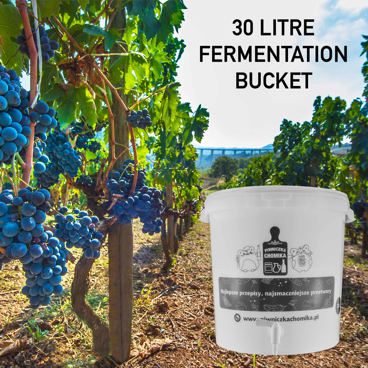 Home Brew Bucket 30L with Tap