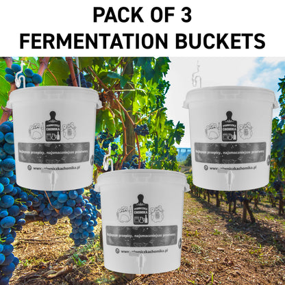 Home Brew Bucket 30L with Tap