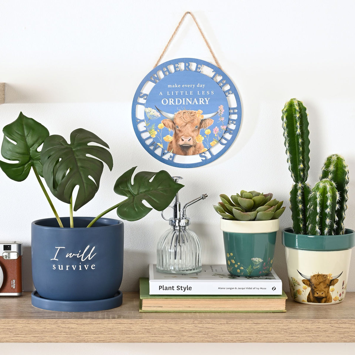 Country Living Set of 2 Planters - Highland Cow