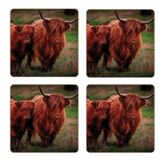 Highland Cows Set of 4 Coasters